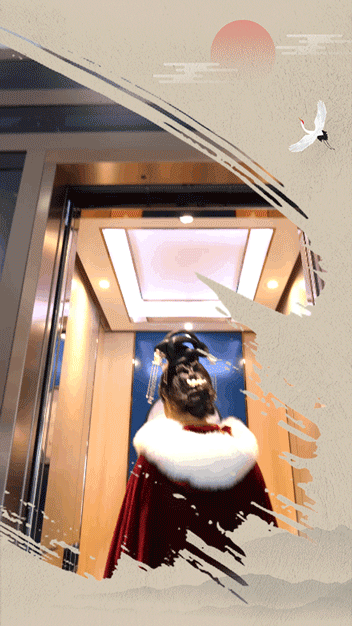 1638414815186527.gif