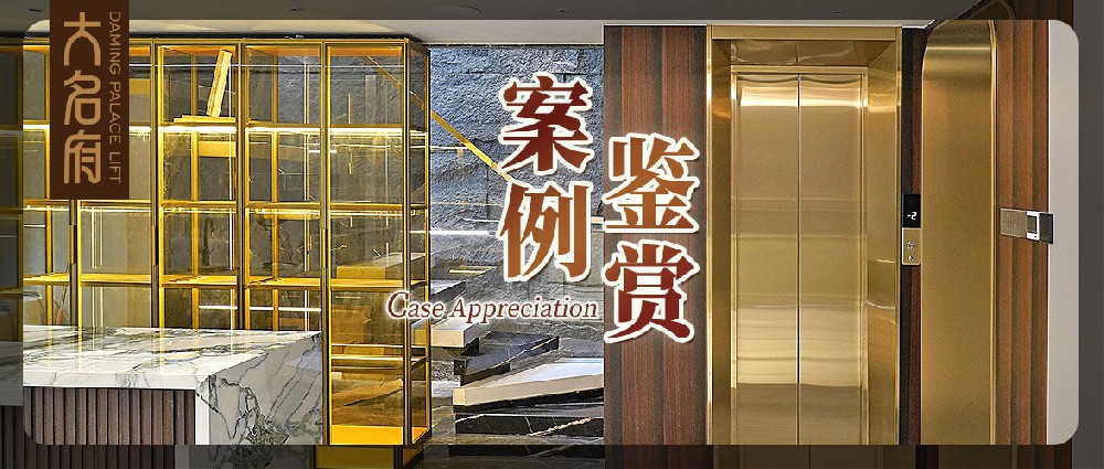 大名府家用電梯案例鑒賞 | 潮流與優(yōu)雅的融合，譜寫浪漫生活樂章
