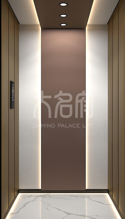簡(jiǎn)約風(fēng)別墅電梯F12